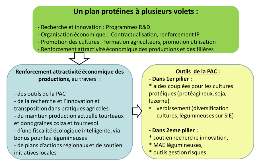 plan_proteines