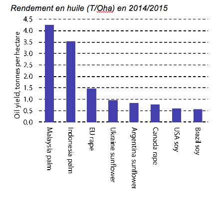 rendement_huile