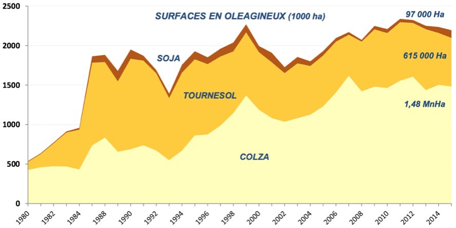 surfaces oléagineuses