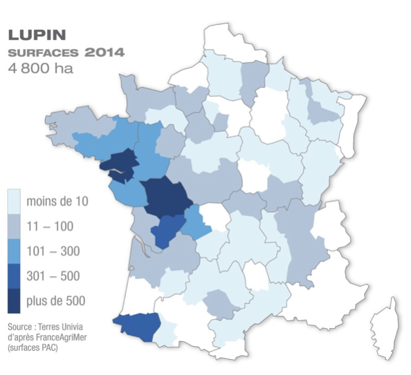 Production lupin France