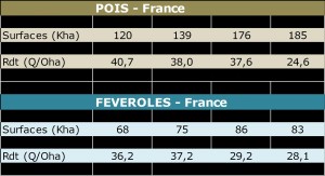 17-pois-feverole