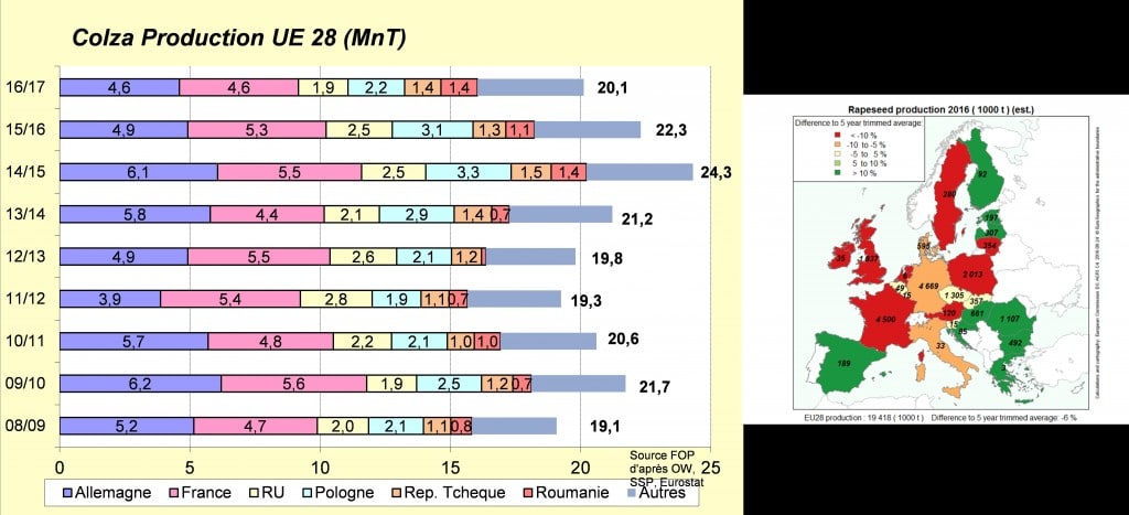 7-colza-production-ue